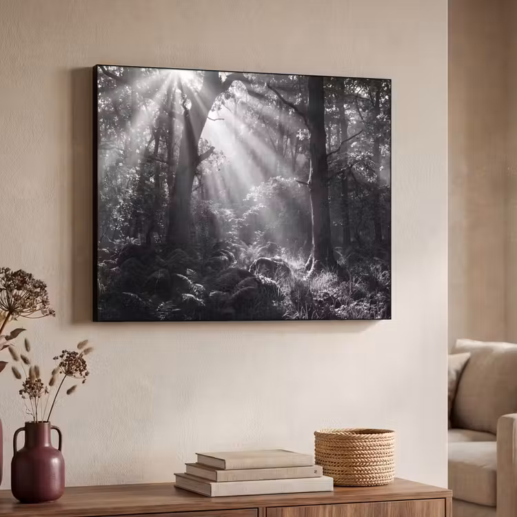 Art Frame - Bos - Lichtstralen - Natuur - Zwart-wit — 4