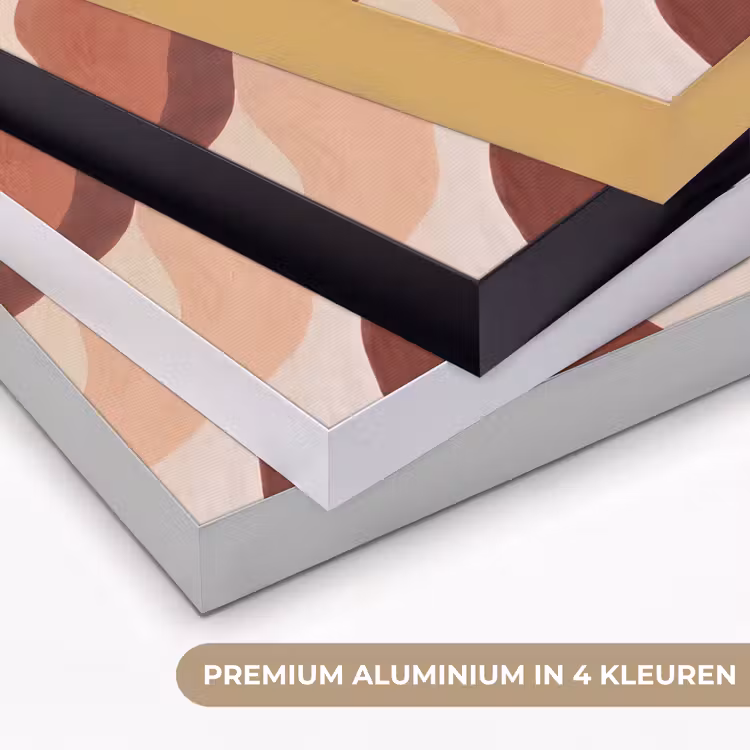 Art Frame - Abstract - Vormen - Organisch - Aardetinten - Modern — 5