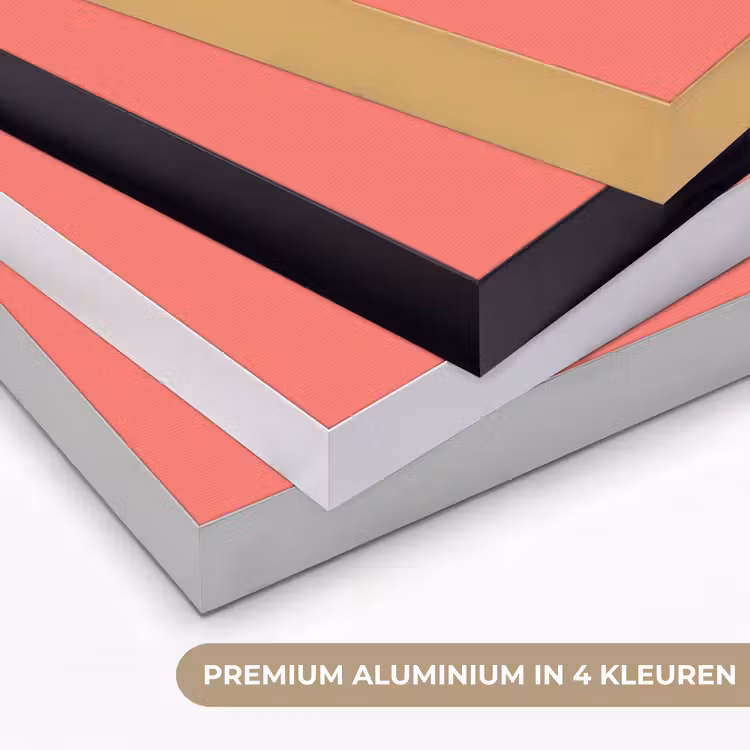 Art Frame - Coral - Punch - Koraal — 5