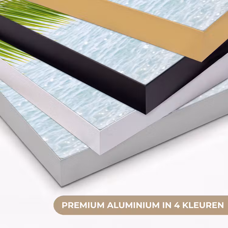 Art Frame - Boom - Bladeren - Water - Tropisch - Groen — 5