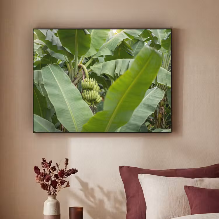 Art Frame - Eten - Bananen - Plantage - Groen — 2