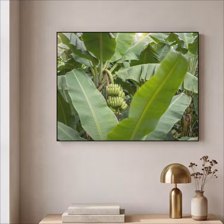 Art Frame - Eten - Bananen - Plantage - Groen — 3