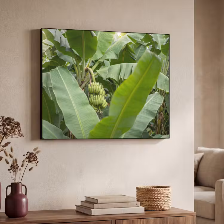 Art Frame - Eten - Bananen - Plantage - Groen — 4