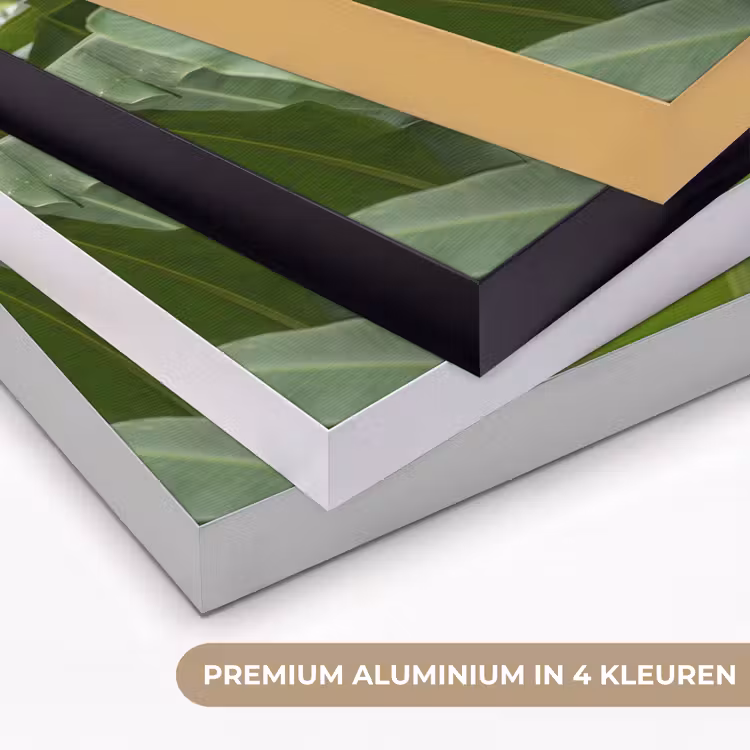 Art Frame - Eten - Bananen - Plantage - Groen — 5