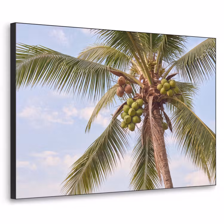 Art Frame - Kokosnoot - Boom - Tropisch - Natuur - Groen — 1