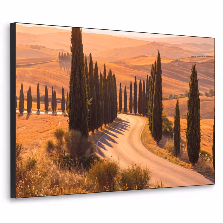 Art Frame - Landschap - Weg - Bomen - Natuur - Goud — 1