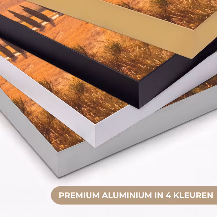 Art Frame - Landschap - Weg - Bomen - Natuur - Goud — 5