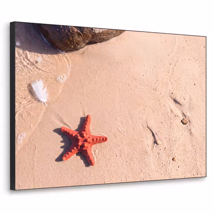 Art Frame - Dieren - Strand - Zee - Natuur - Rood — 1