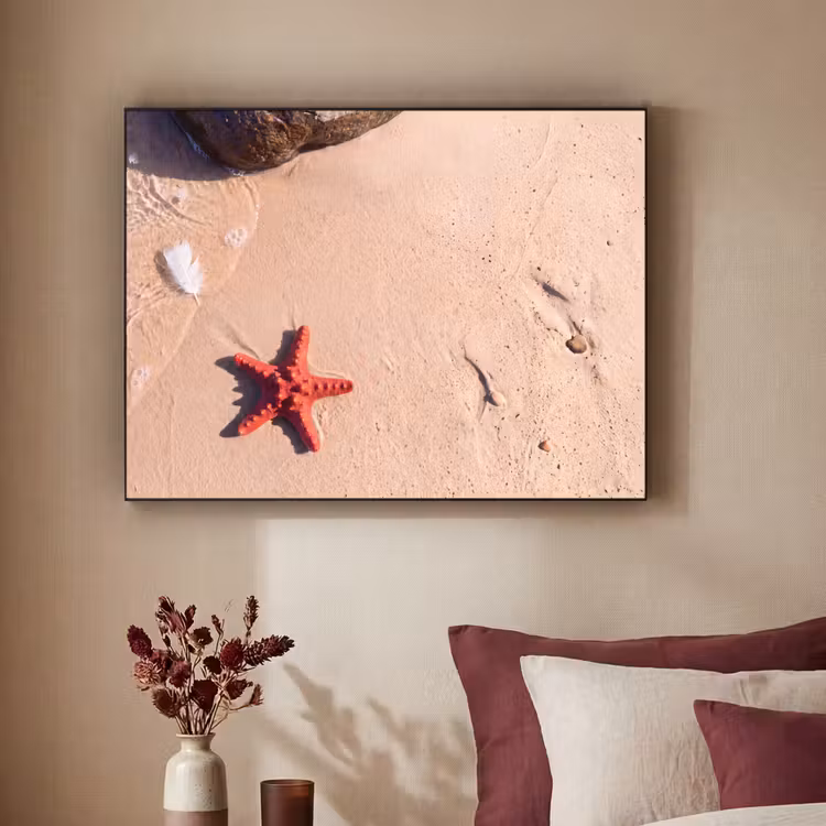 Art Frame - Dieren - Strand - Zee - Natuur - Rood — 2
