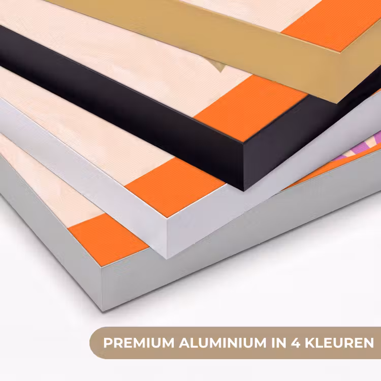 Art Frame - Bloemen - Vaas - Abstract - Paars - Oranje — 5