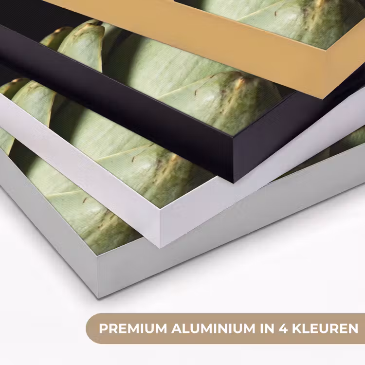 Art Frame - Artisjok - Groen - Eten — 5