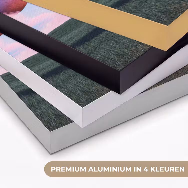 Art Frame - Deur - Fantasie - Ruimte — 5