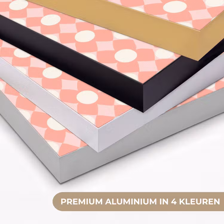 Art Frame - Koraal - Retro - Geometrisch - Patroon — 5