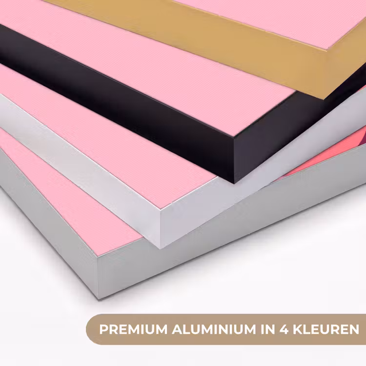 Art Frame - Abstract - Vormen - Roze - Modern - Design — 5