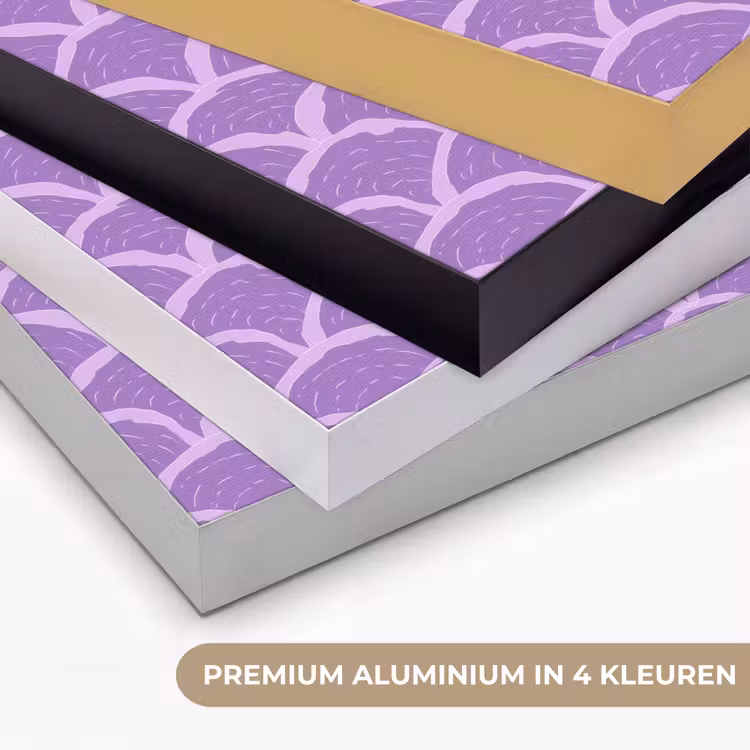 Art Frame - Paars - Schubber - Schelpen - Handgetekend - Patroon — 5
