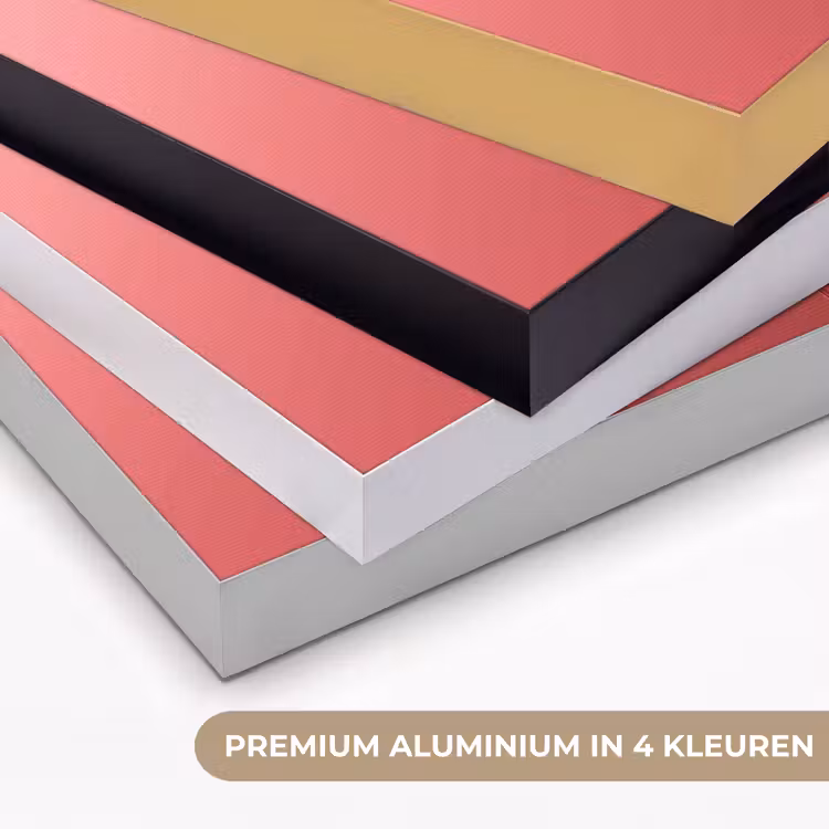 Art Frame - Sierlijk - Bloem - Roze - Glazen — 5