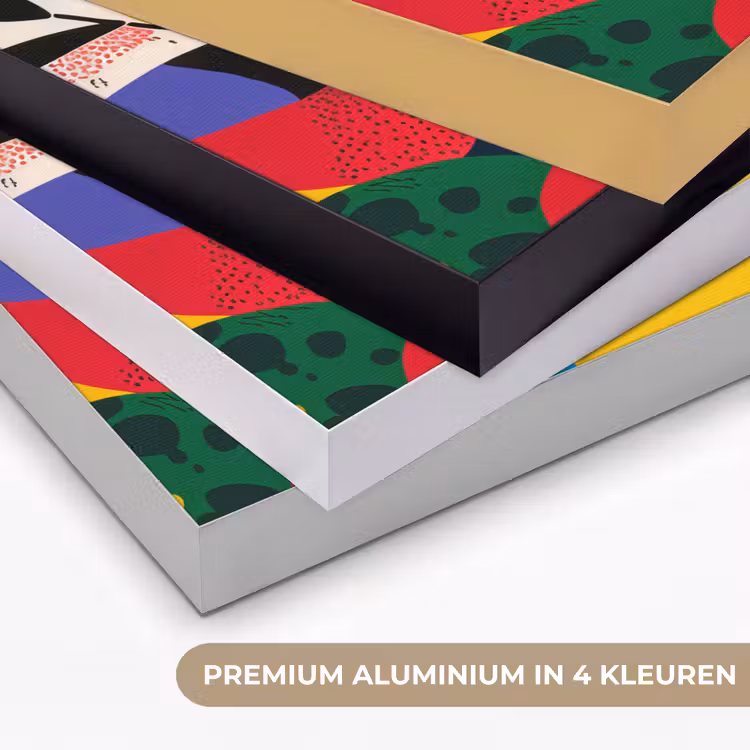 Art Frame - Vormen - Stippen - Kleurrijk — 5