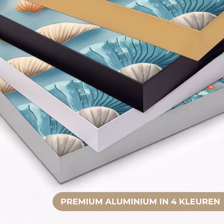 Art Frame - Zeesterren - Schelpen - Illustratie - Zand — 5