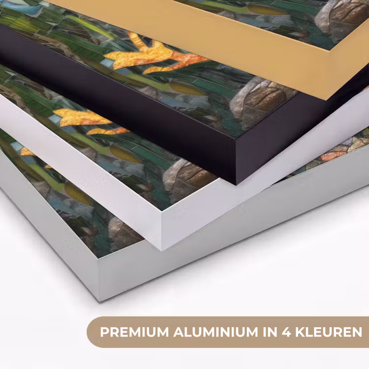 Art Frame - Schildpad - Zeewier - Mozaïek — 5