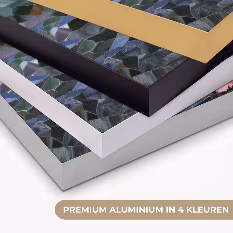 Art Frame - Vissen - Koraal - Zee - Mozaïek — 5