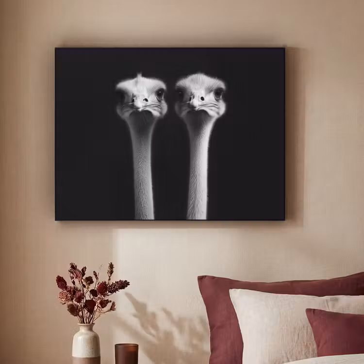 Art Frame - Struisvogels - Halzen - Zwart - Minimalistisch — 2