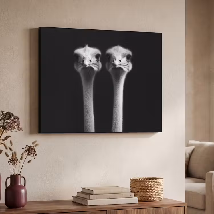 Art Frame - Struisvogels - Halzen - Zwart - Minimalistisch — 4