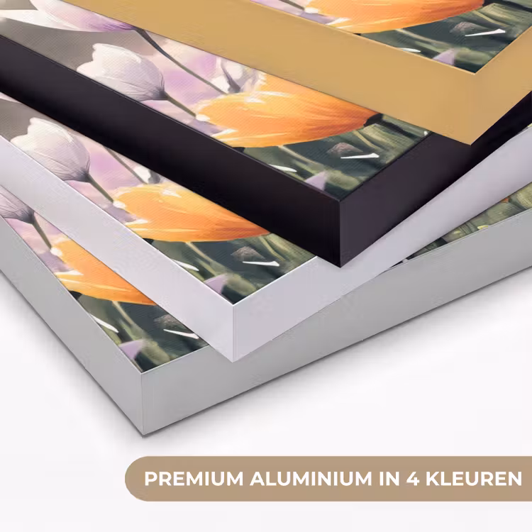 Art Frame - Viooltjes - bij - Zonlicht — 5