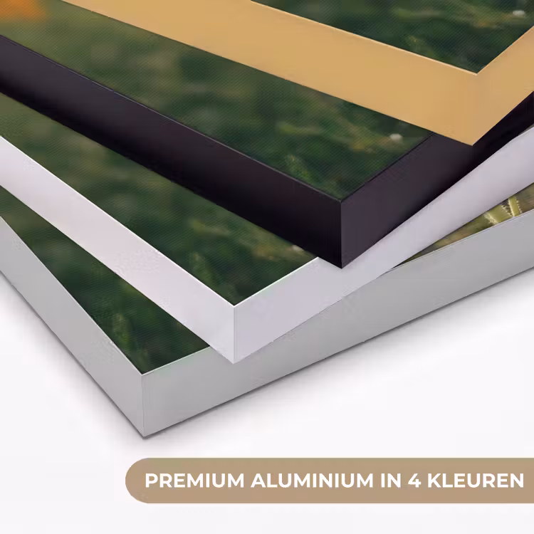 Art Frame - Zonnebloem - Veld - Zonnebril — 5