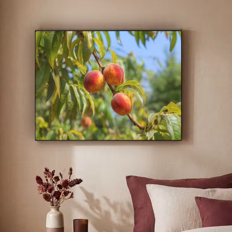Art Frame - Perzik - Bladeren - Zonlicht — 2