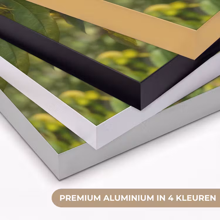 Art Frame - Perzik - Bladeren - Zonlicht — 5