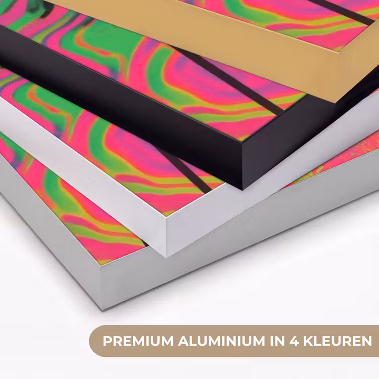 Art Frame - Vrouw - Microfoon - Neon — 5