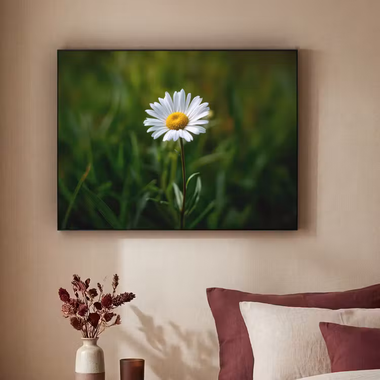 Art Frame - Wit - Madeliefje - Bloem - Gras — 2