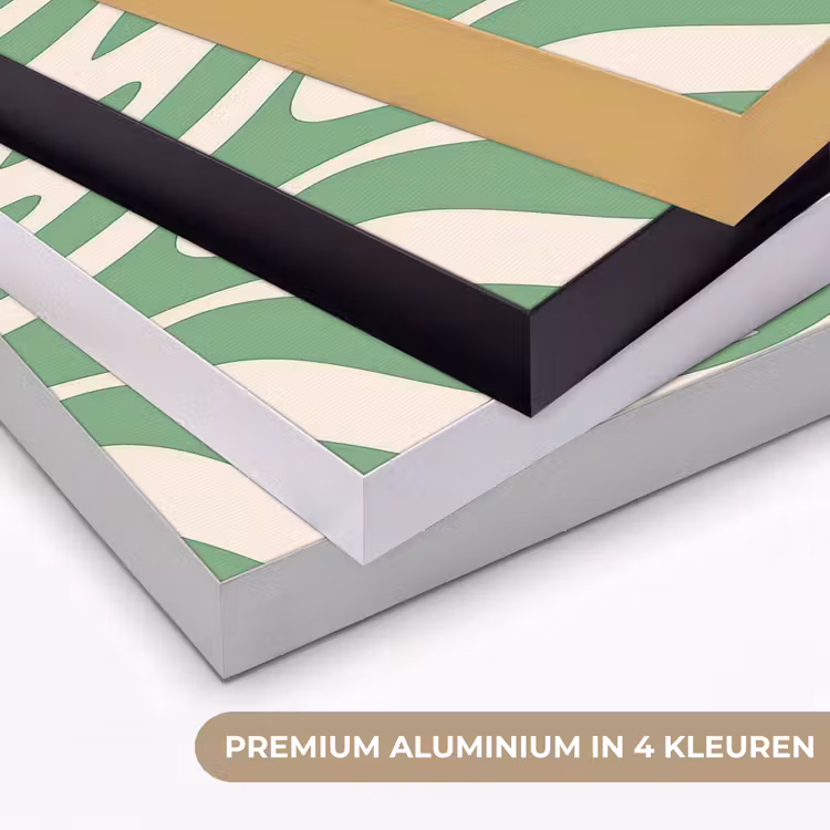 Art Frame - Zebrapatroon - Groen - Retro — 5