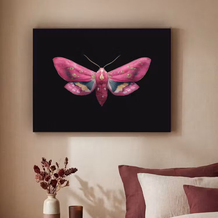 Art Frame - Vlinder - Roze - Nachtvlinder — 2