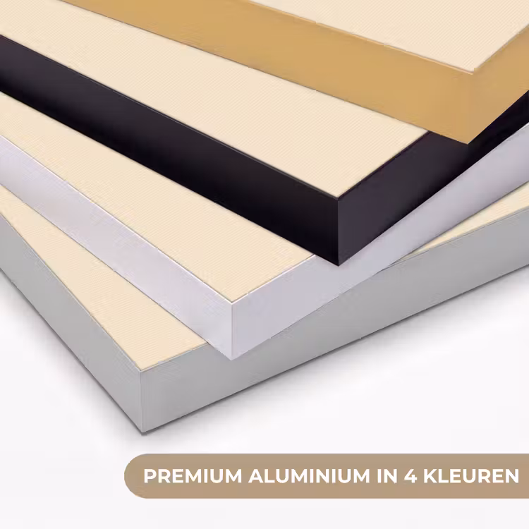 Art Frame - Schelp - Oranje - Ribbels — 5