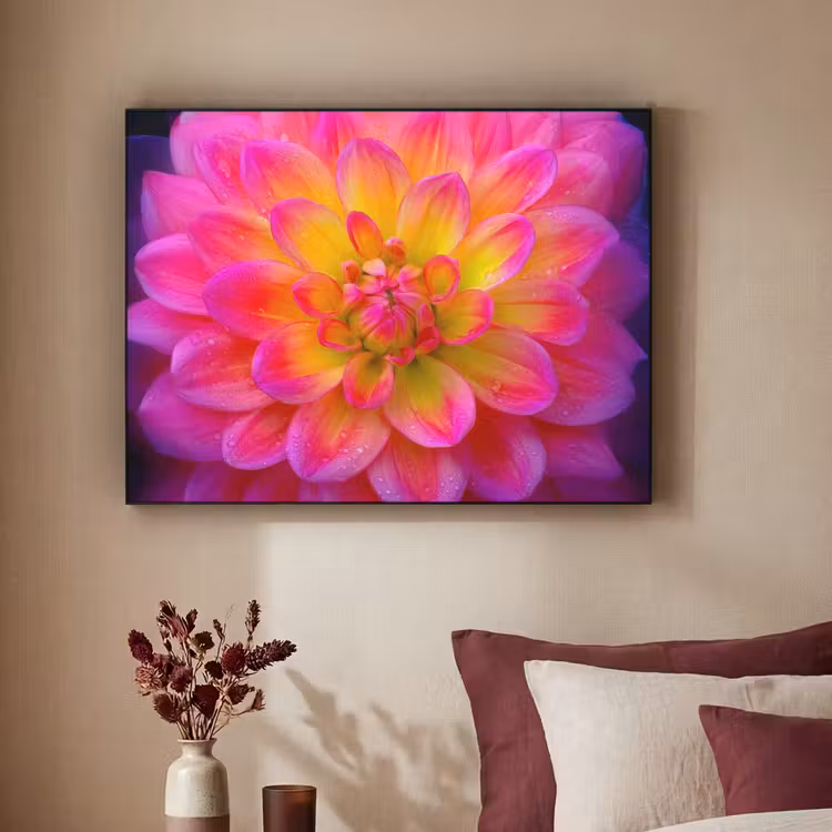 Art Frame - Roze - Dahlia - Kleurrijk — 2