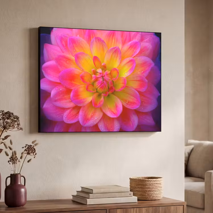 Art Frame - Roze - Dahlia - Kleurrijk — 4