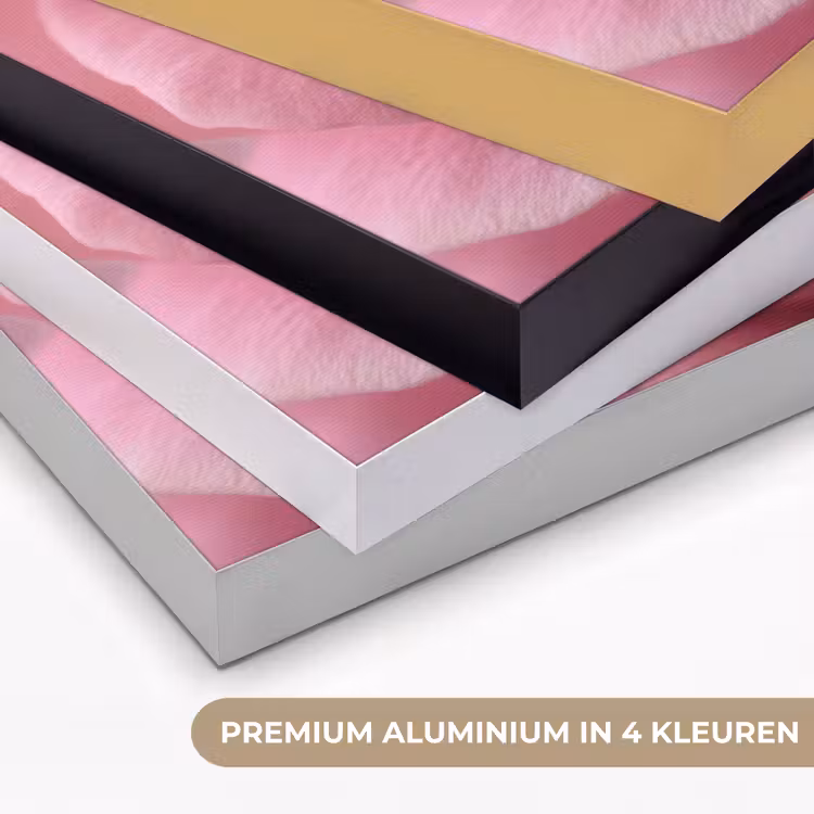 Art Frame - Roze - Roos - Romantisch — 5