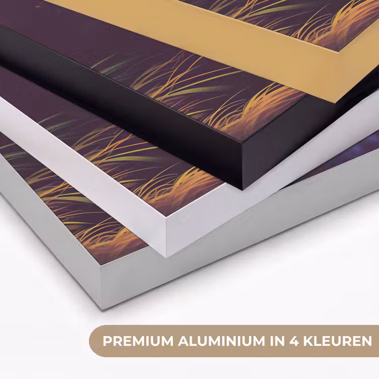 Art Frame - Zon - Geel - Palmbomen - Tropisch — 5