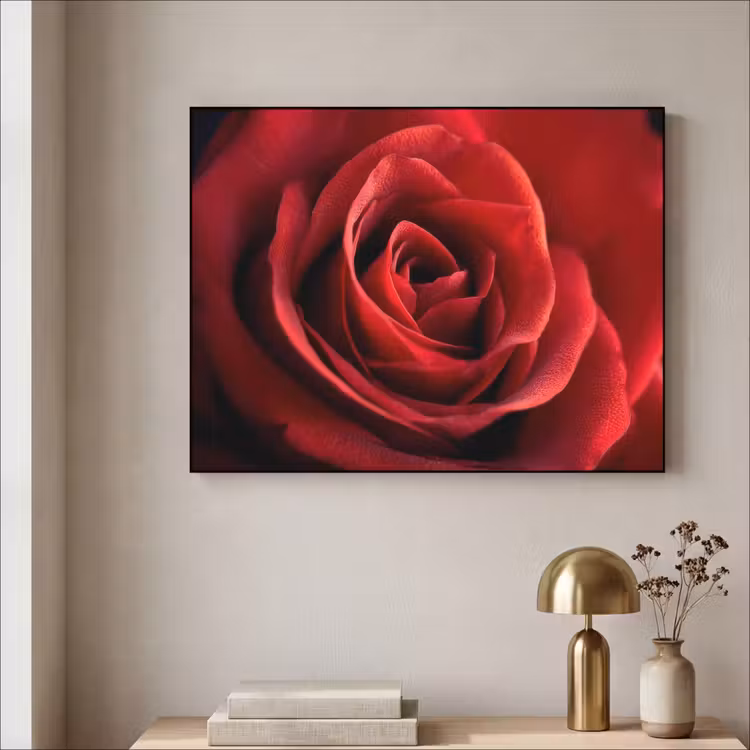 Art Frame - Rood - Roos - Romantisch — 3