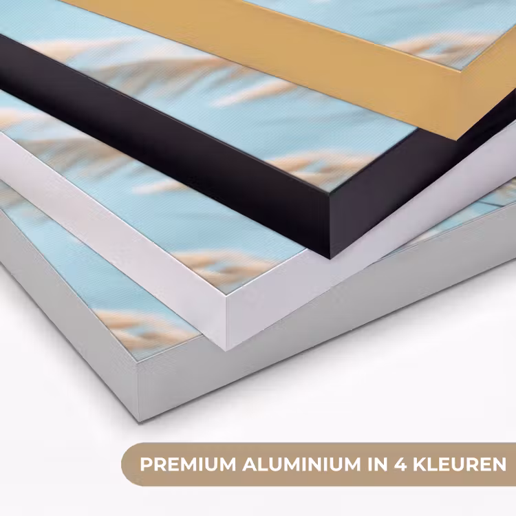 Art Frame - Siergras - Wind - Lichtbruin — 5