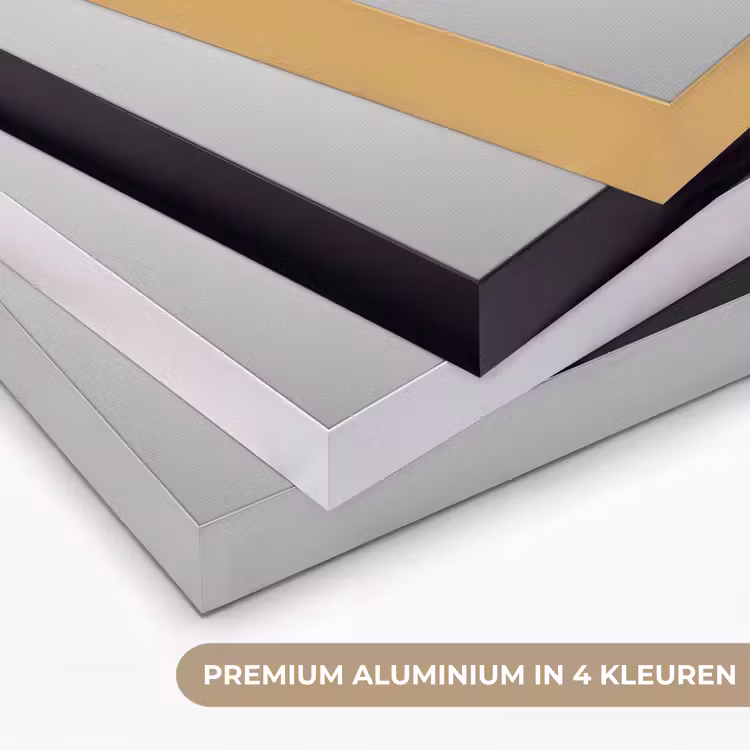 Art Frame - Vrouw - Champagne - Modern — 5