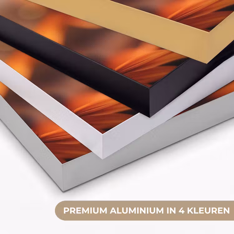 Art Frame - Vlinder - Bloemen - Oranje — 5