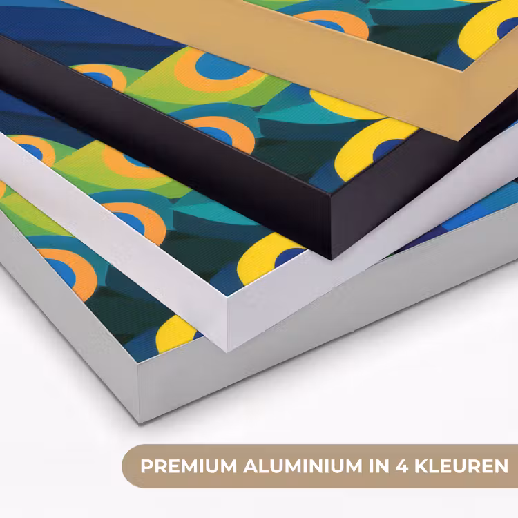Art Frame - Pauw - Cirkels - Blauw — 5