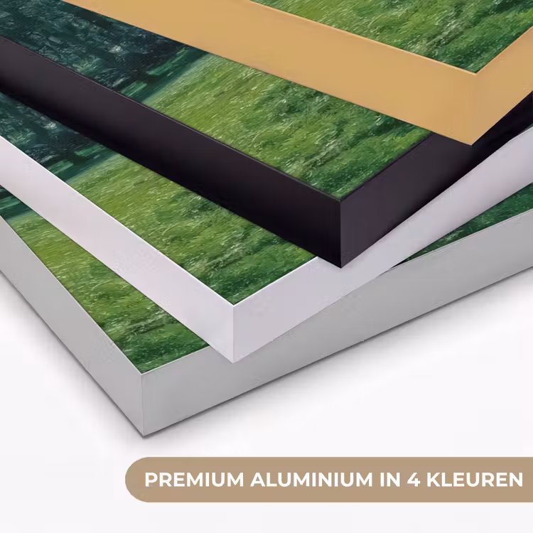 Art Frame - Vrouw - Boom - Boek - Mandje — 5