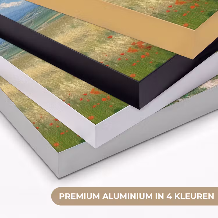 Art Frame - Zandpad - Huis - Bomen - Grasveld — 5