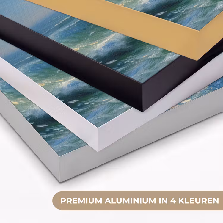Art Frame - Zee - Golven - Rotsen - Meeuwen — 5