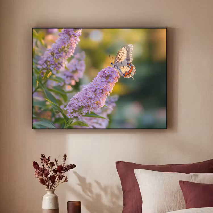 Art Frame - Sierlijke - Vlinder - Paarse - Bloemen — 2