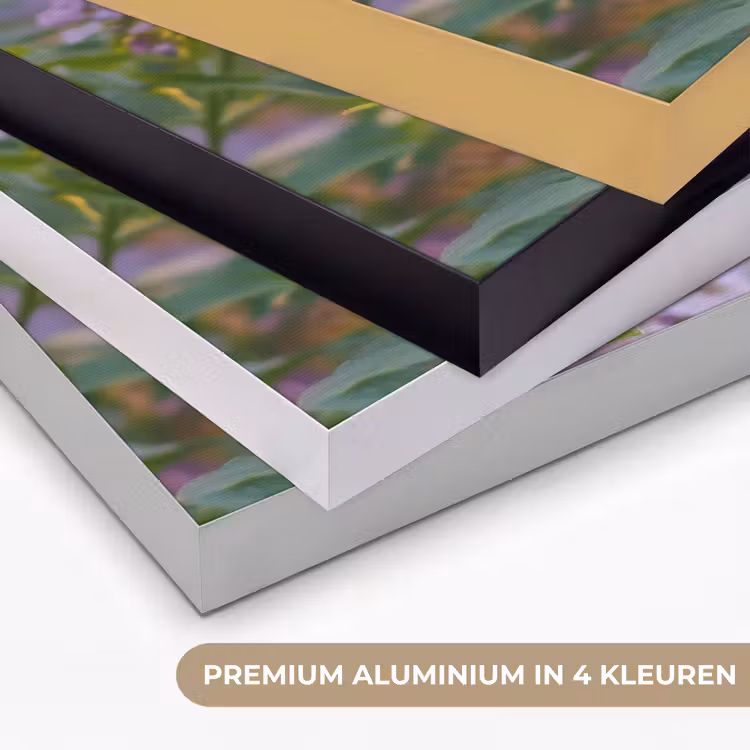 Art Frame - Sierlijke - Vlinder - Paarse - Bloemen — 5