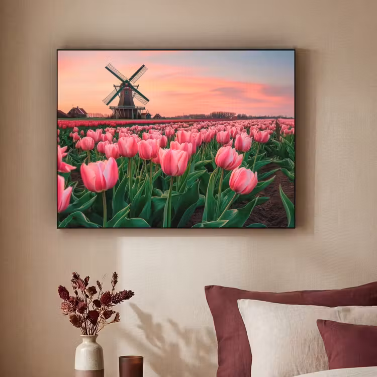 Art Frame - Tulpen - Molen - Nederland — 2